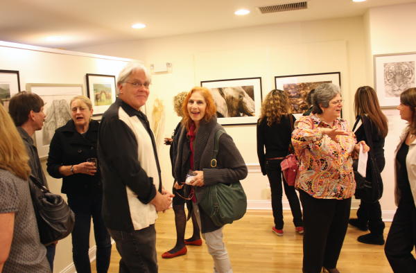 New Canaan Art Exhibition, Patty Storms, Photo Album