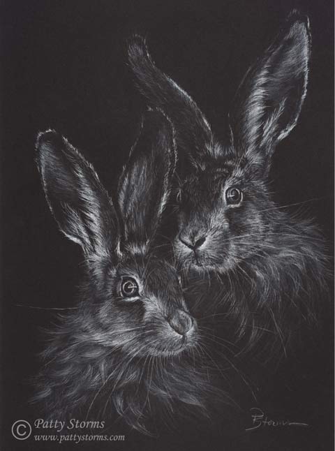 Hares, white pencil drawing on black paper
