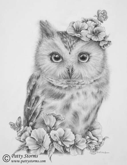 Evening Primrose Owl (for Anna), pencil drawing