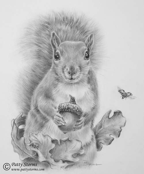 Ladybug Squirrel (for Anna), graphite pencil drawing